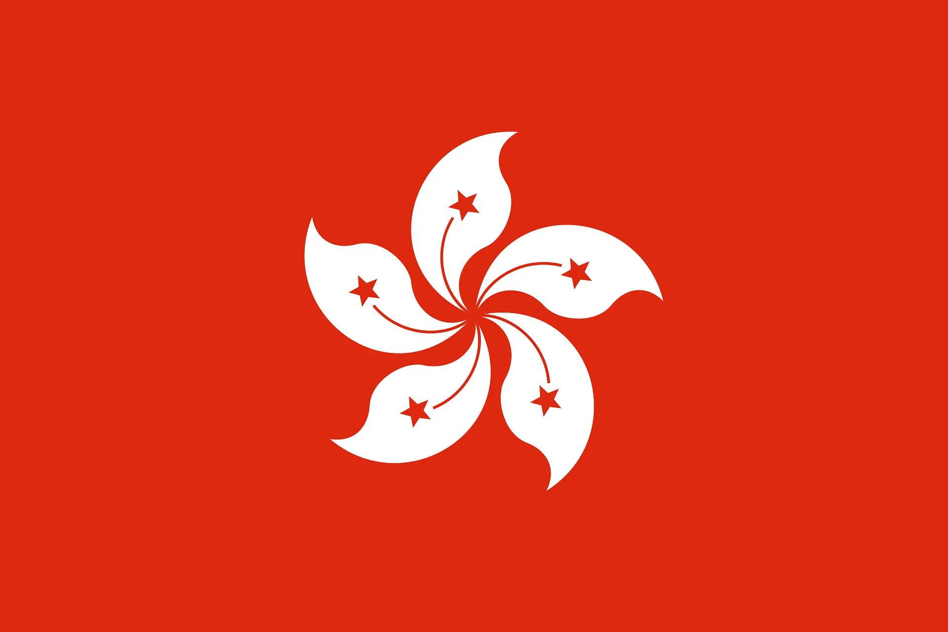香港特别行政区区旗（紫荆花旗）插画